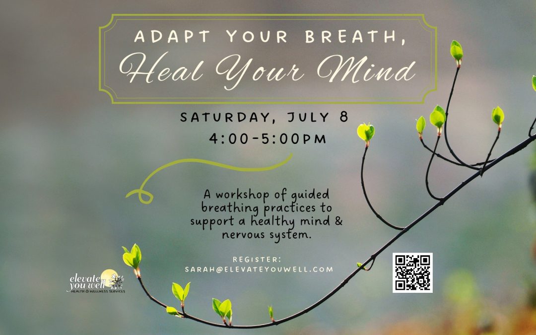 Adapt Your Breath, Heal Your Mind Workshop 7/8 @Vergennes Movement