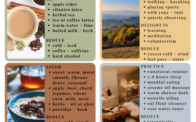 Autumn Wellness Tip Sheet & Recipes