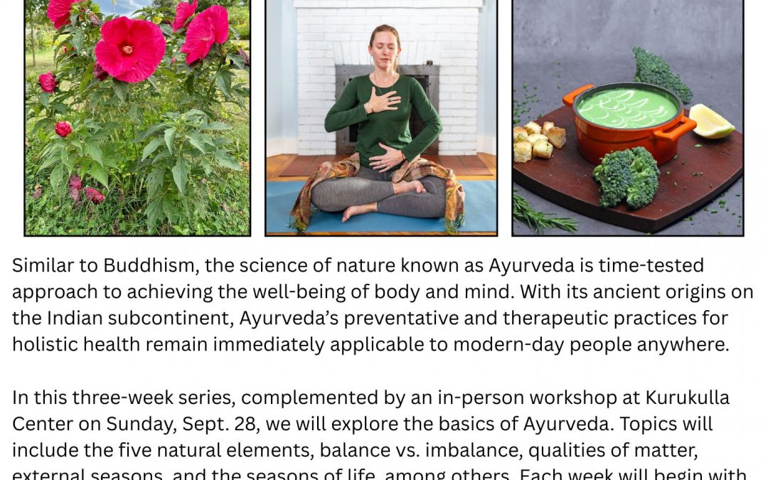 Sept. Events Online + Medford, MA