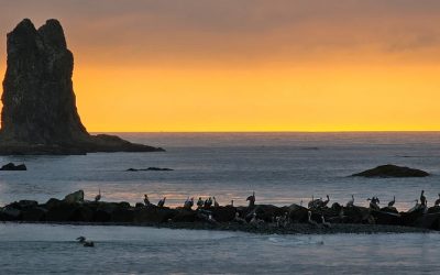 January Schedule and Workshops